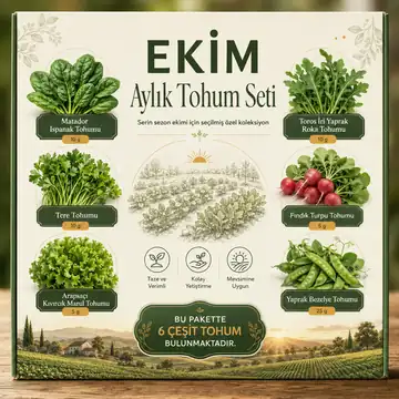 Ekim Ayı Sebze Tohumu Seti – 6 Çeşit Kışlık Sebze Tohumu