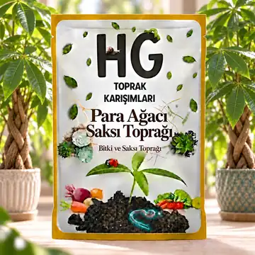 HG Para Ağacı Saksı Toprağı