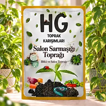HG Salon Sarmaşığı Toprağı