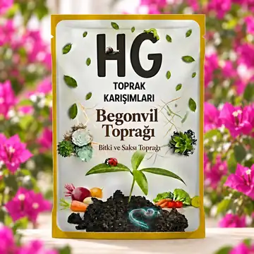 HG Begonvil Toprağı
