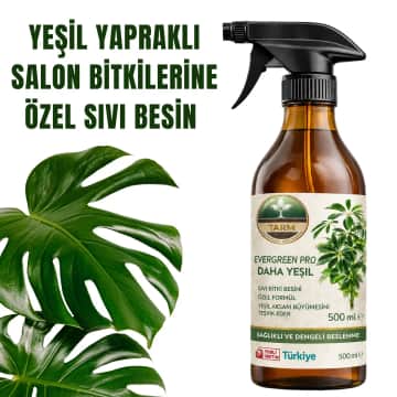 Tarm EverGreen Pro Salon Bitkisi Besini 500 ml