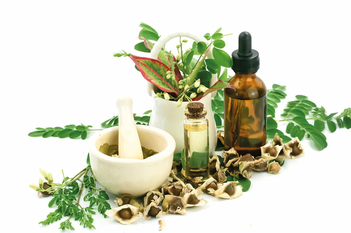 Moringa Yağı Nedir, Ne İşe Yarar, Neye İyi Gelir, Faydaları?