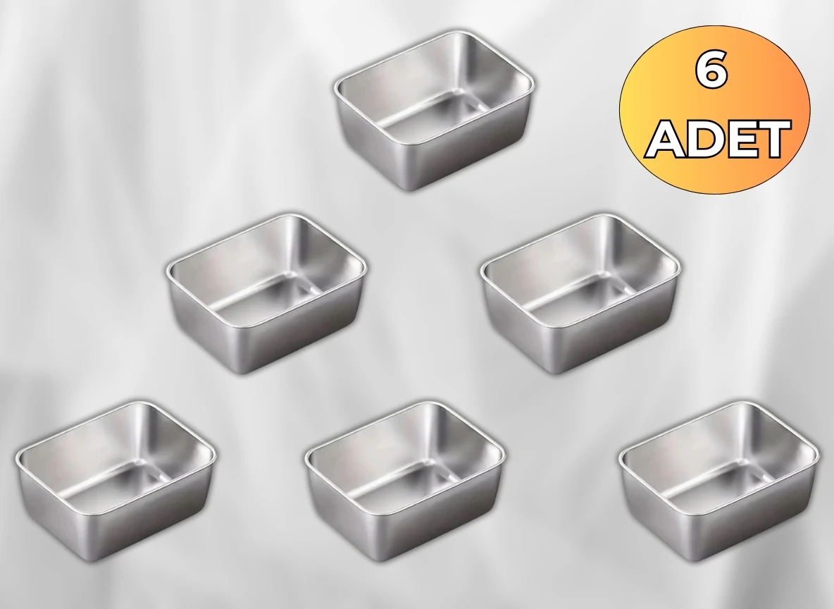 Kotetsu 6 Adet 500 ML  Paslanmaz Saklama Kabı 
