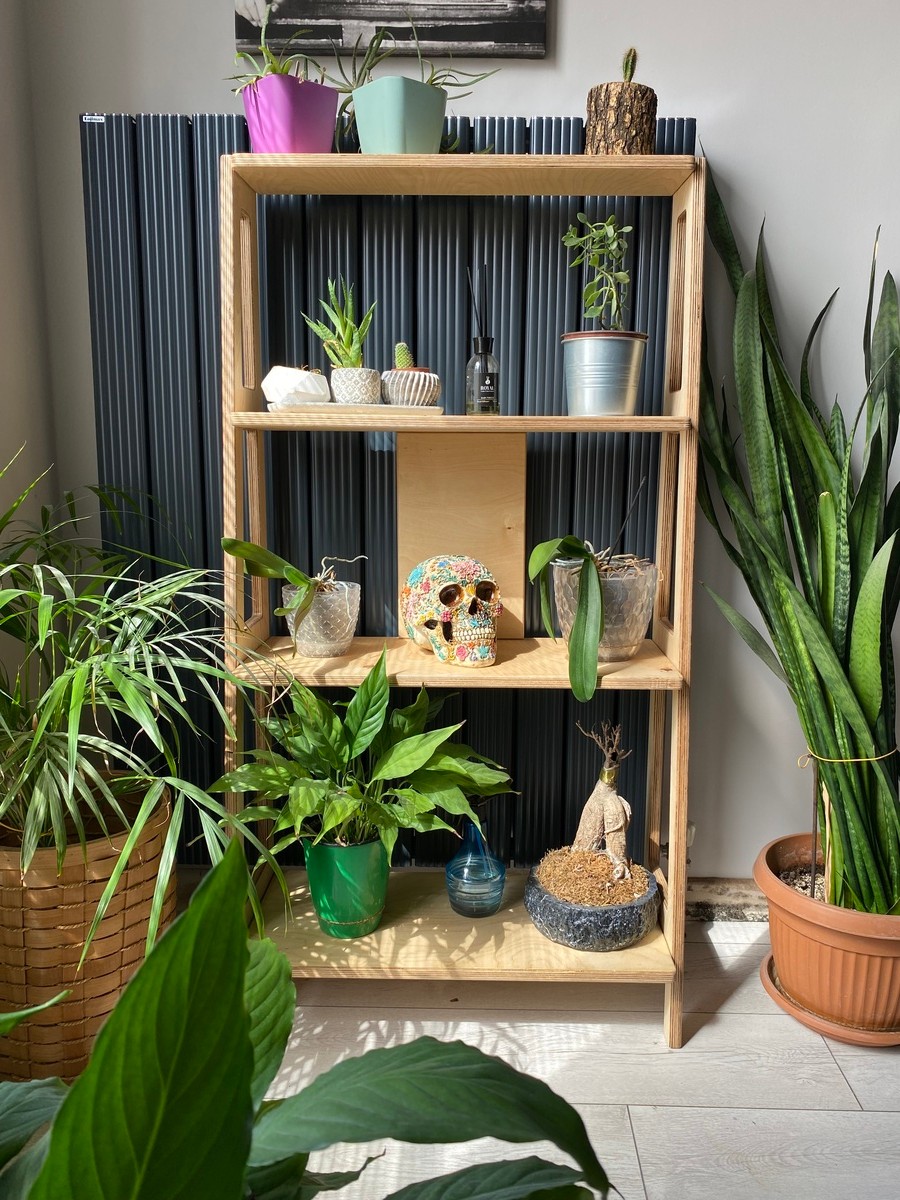 Raul Plywood Çok Amaçlı Duvar Rafı Kitaplık Çiçeklik Saksılık Salon Banyo Çalışma Odası Dolap 4 Raflı
