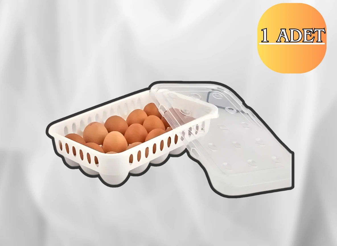 Yumurta saklama kabı 15'li 1 adet , Steril yumurtalık, Kapaklı yumurta organizeri
