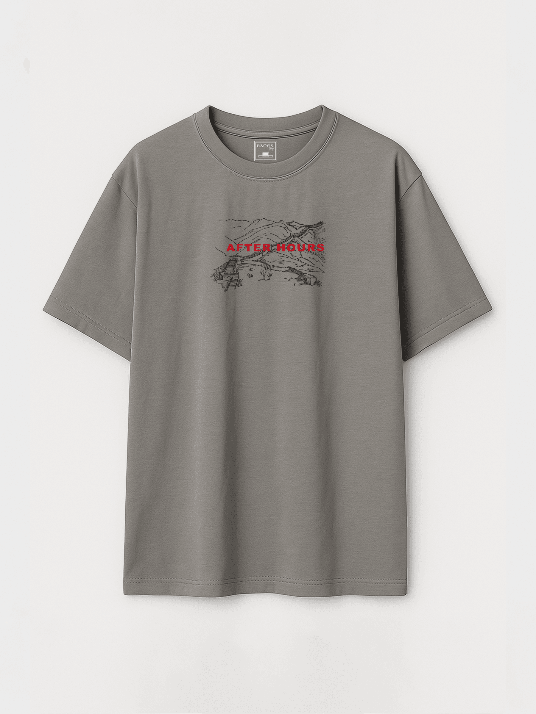 After House Baskılı Pamuk Dokulu Oversize Erkek Tişört