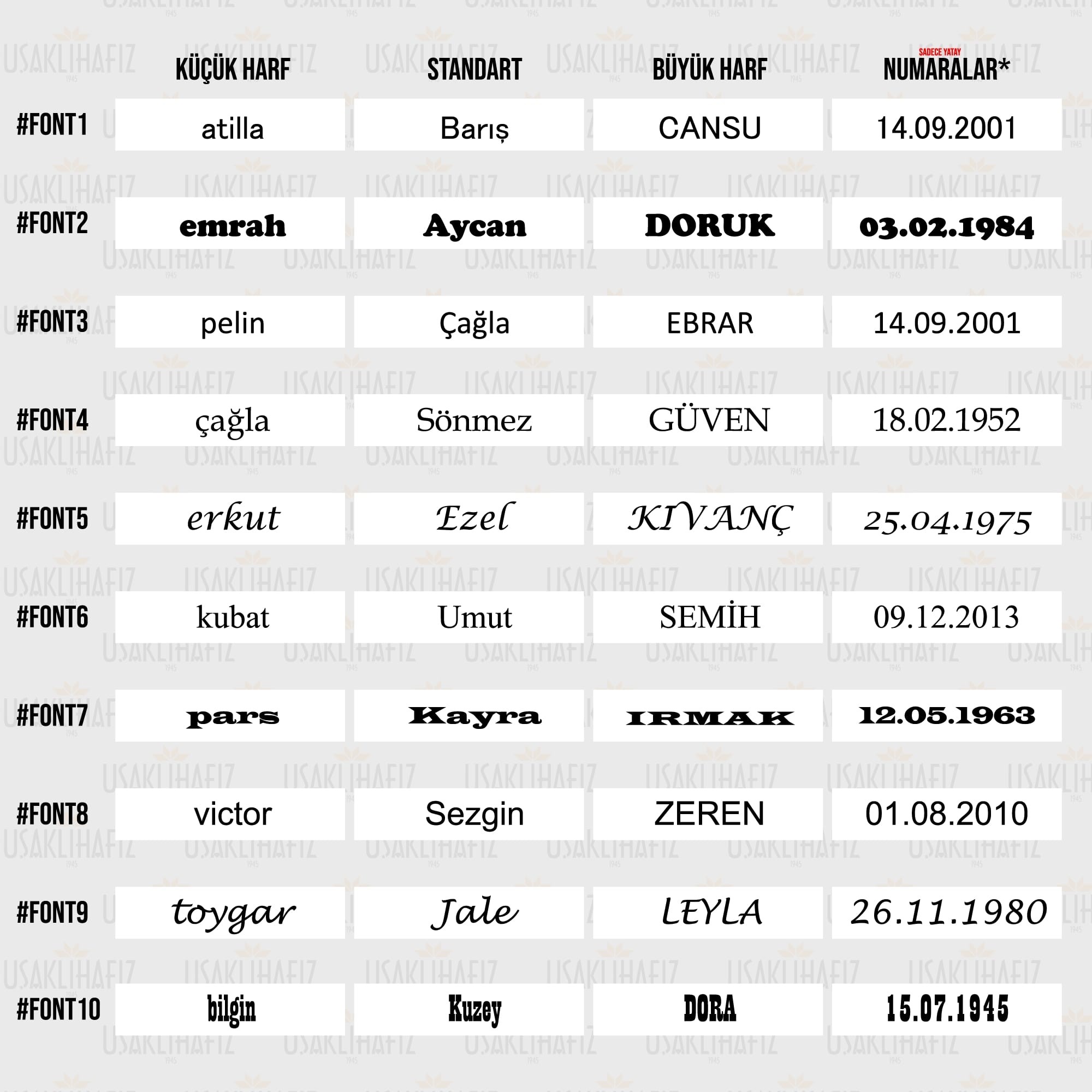 14 Ayar Altın Taşlı Erkek Yüzük