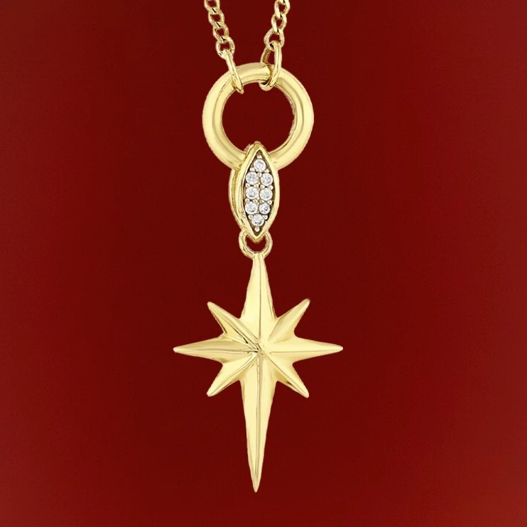 14 Ayar Altın Taş Detaylı Kuzey Yıldızlı Kadın Kolye