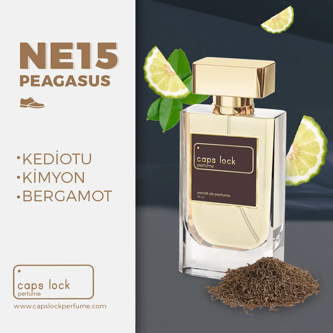 NE15 - CAPS LOCK Perfume (Parfums De Marly-Pegasus Muadili) 60 ml.