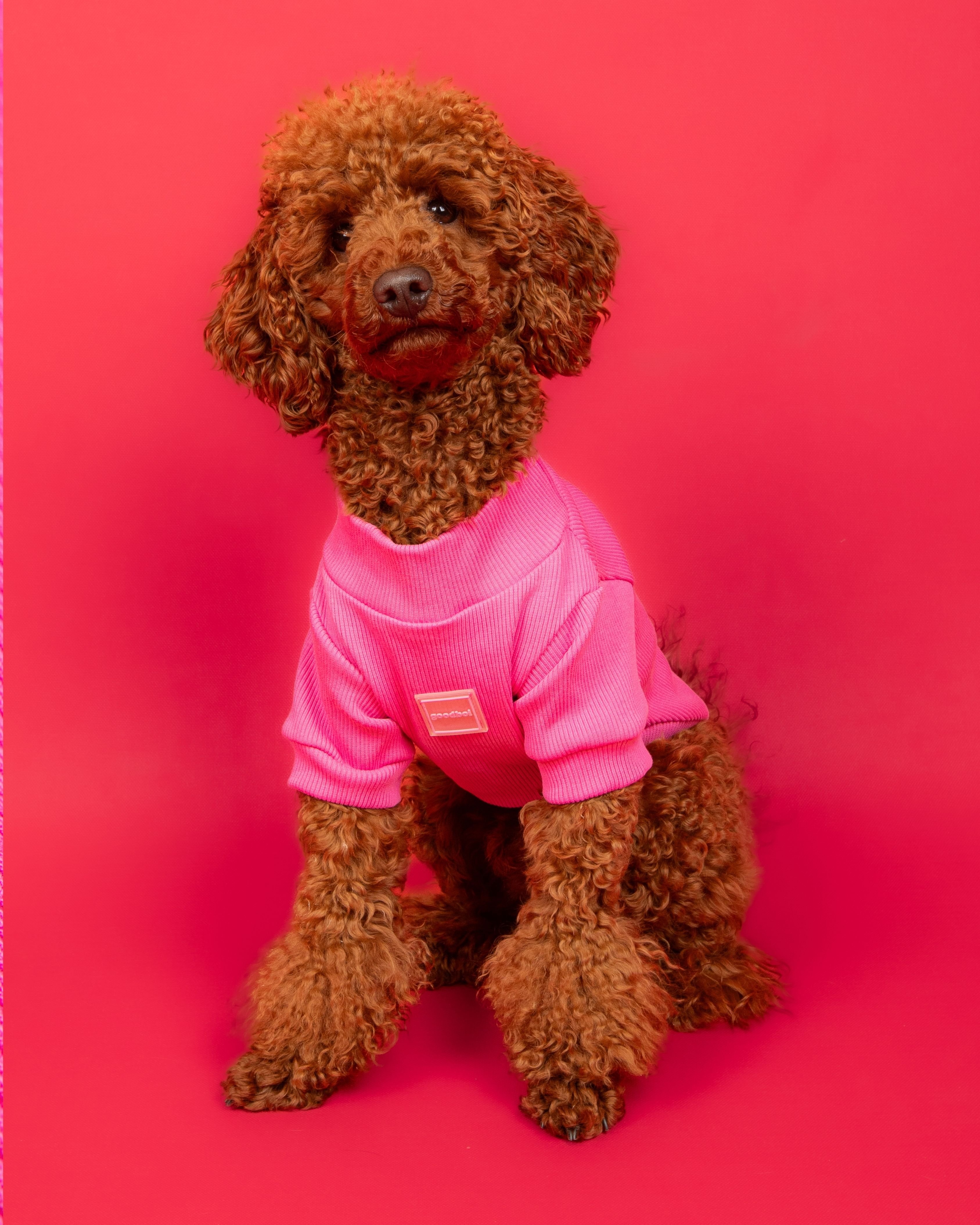 Pembe Taşlı Ribana Tişört