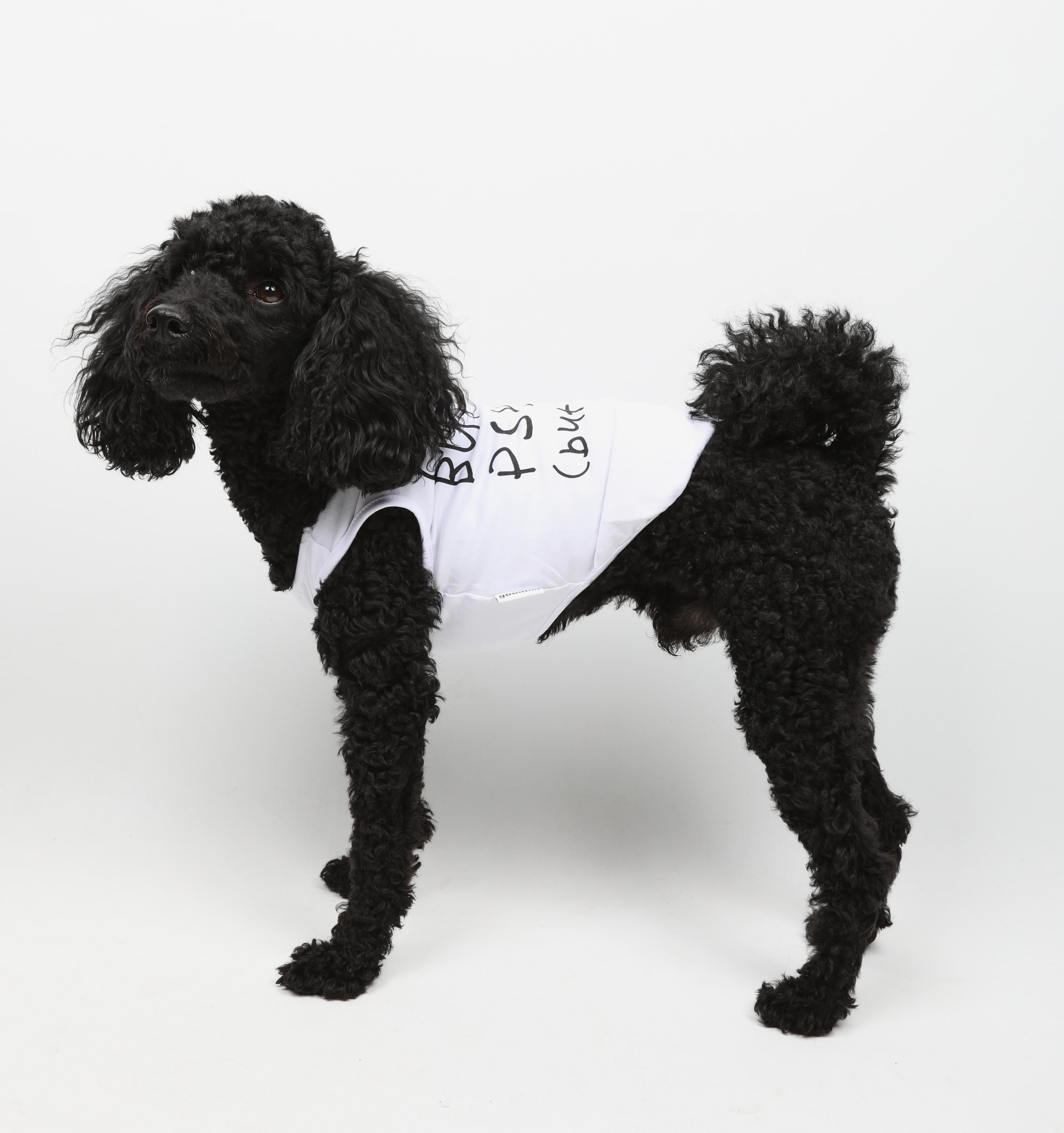 Cute But Psycho But Cute Atlet