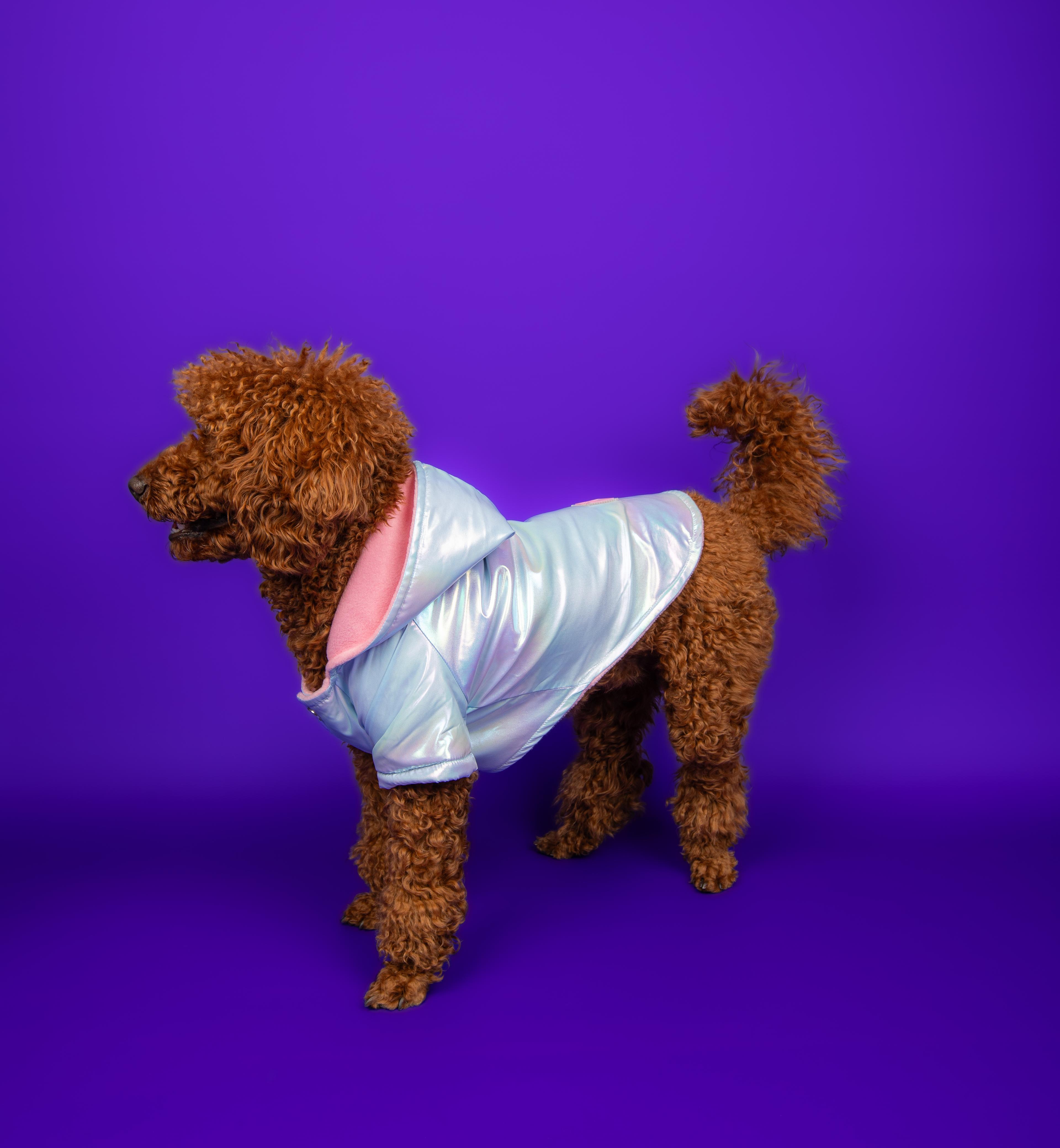 Mavi Neon Mont