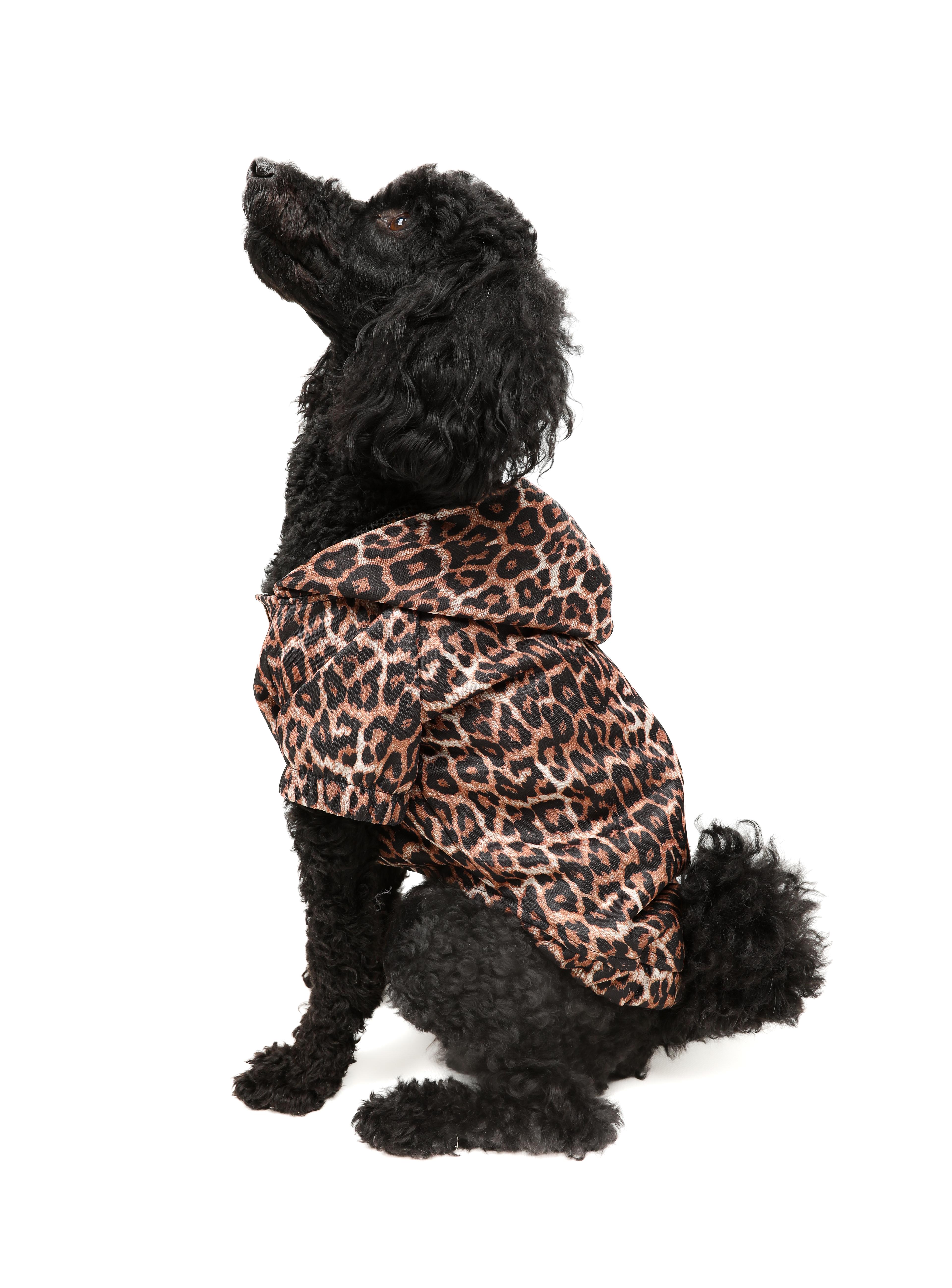Leopar Yağmurluk