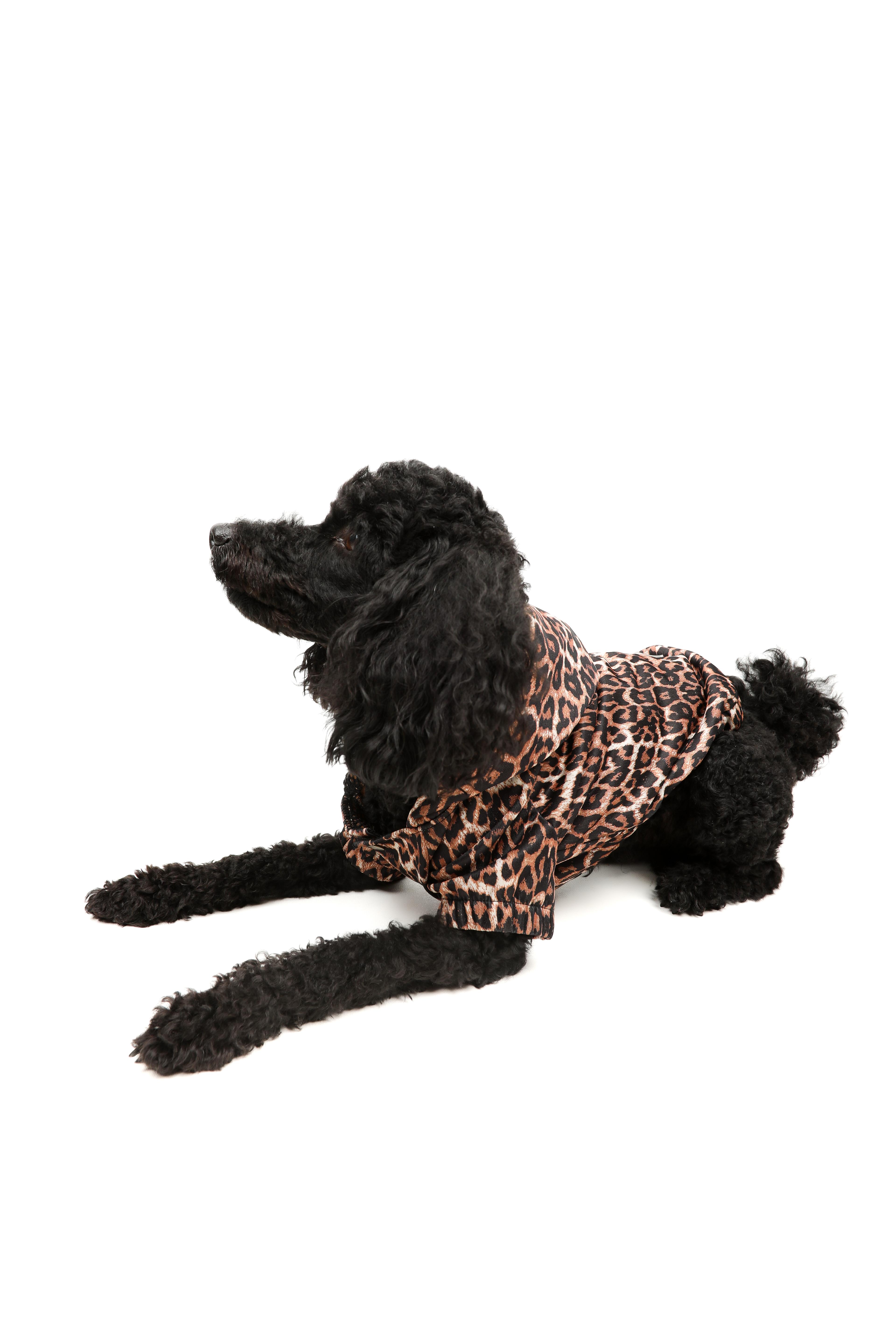 Leopar Yağmurluk