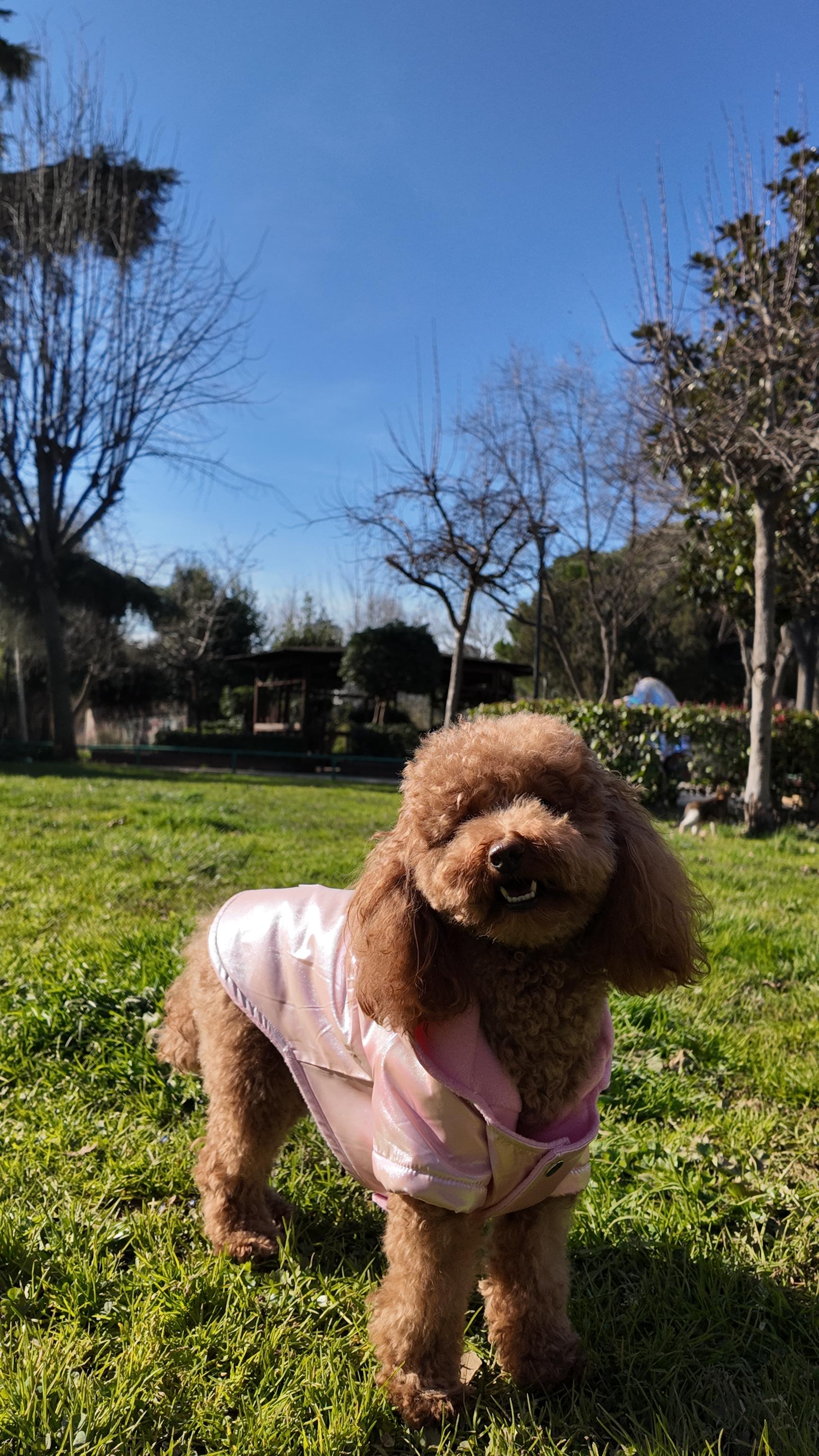 Şeker Pembesi Neon Mont