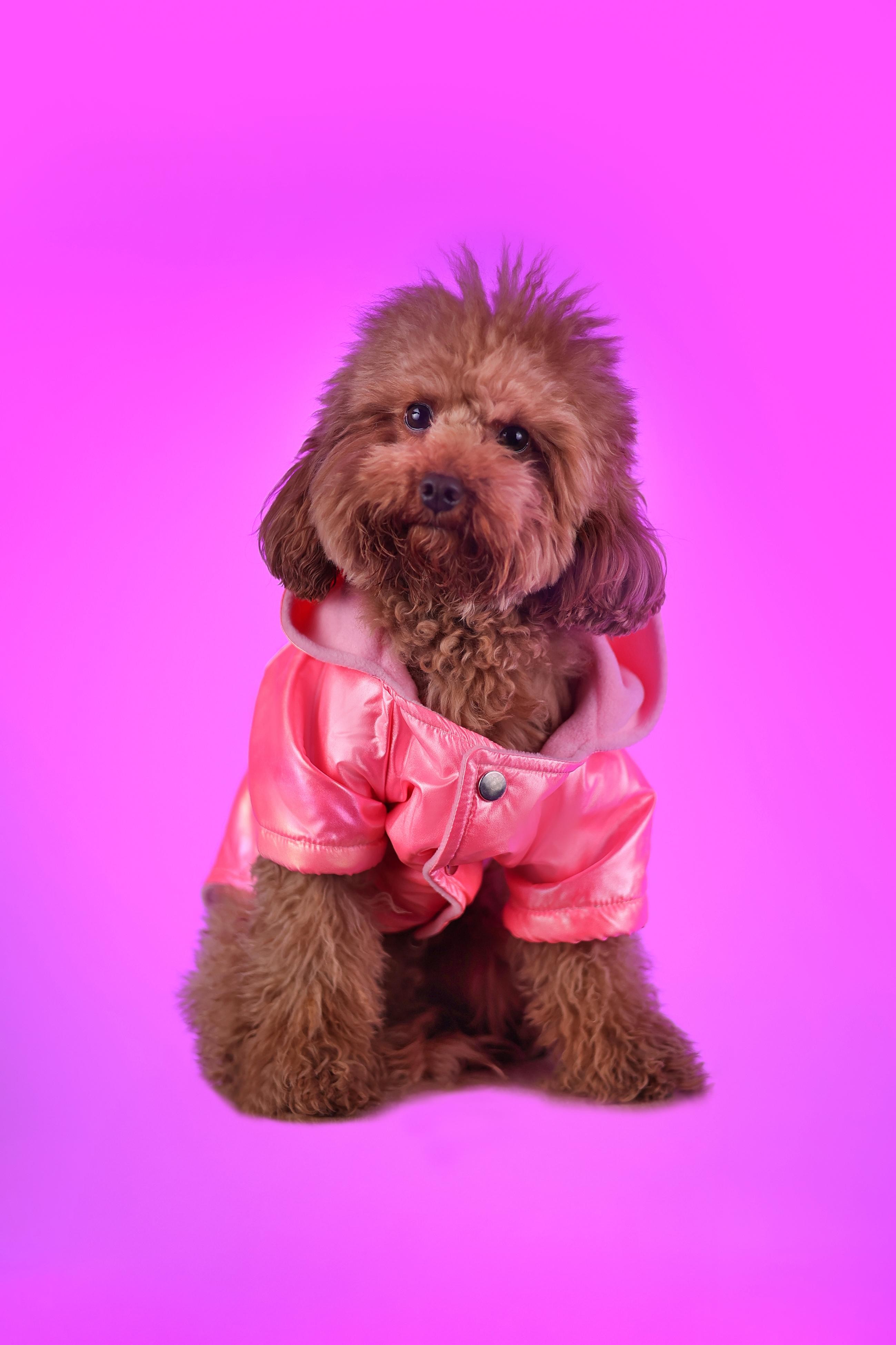 Pembe Neon Mont