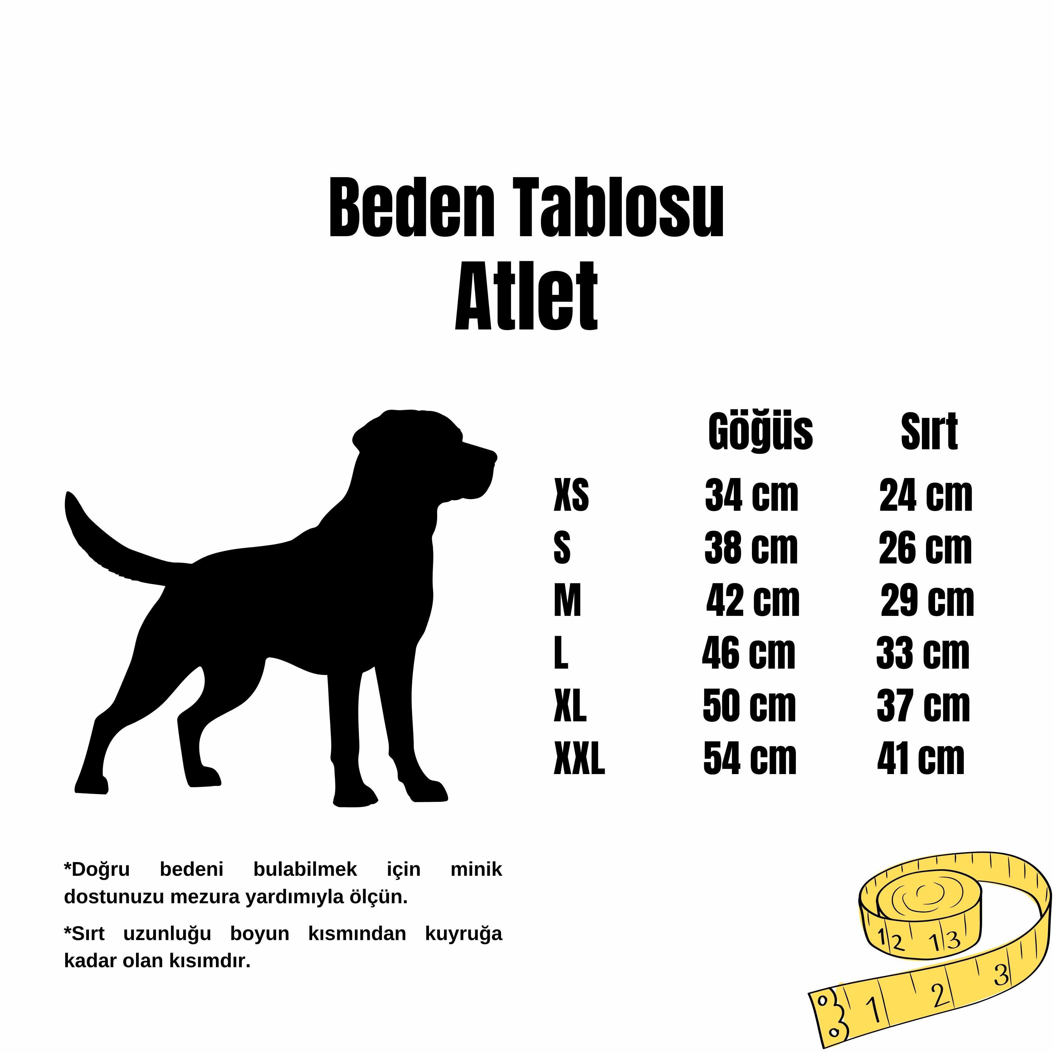 Need Money For Porsche Atlet