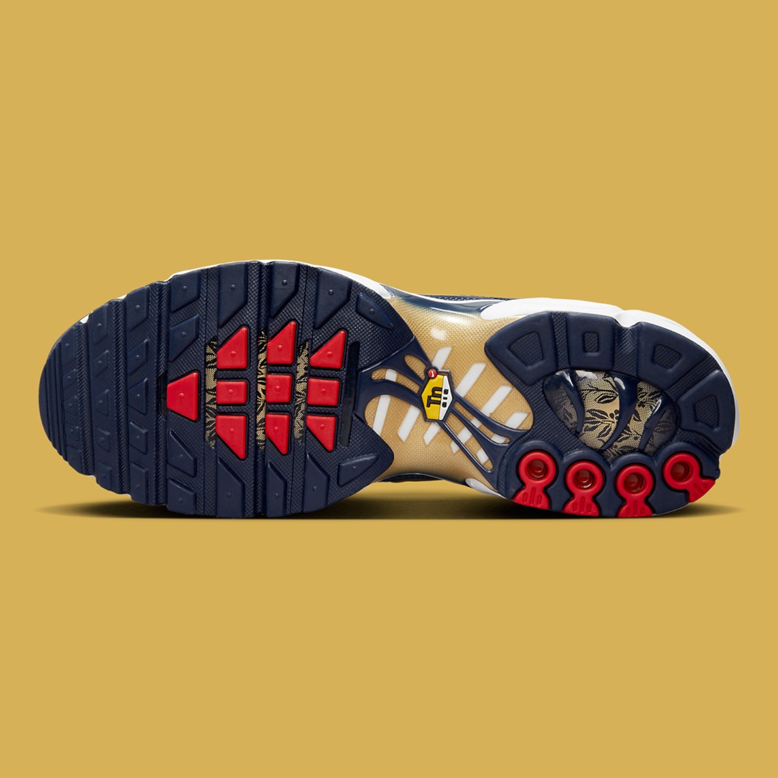 Nike Air Max Plus FFF