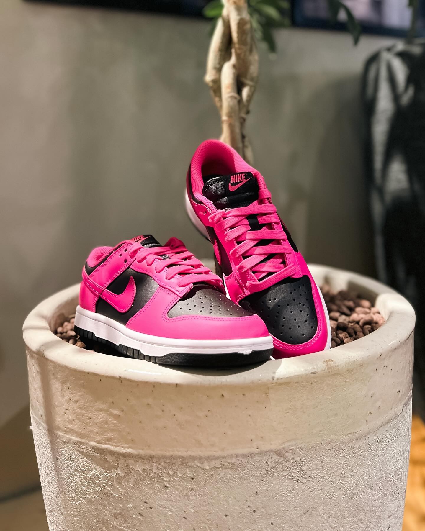 Nike Dunk Low Fierce Pink Black