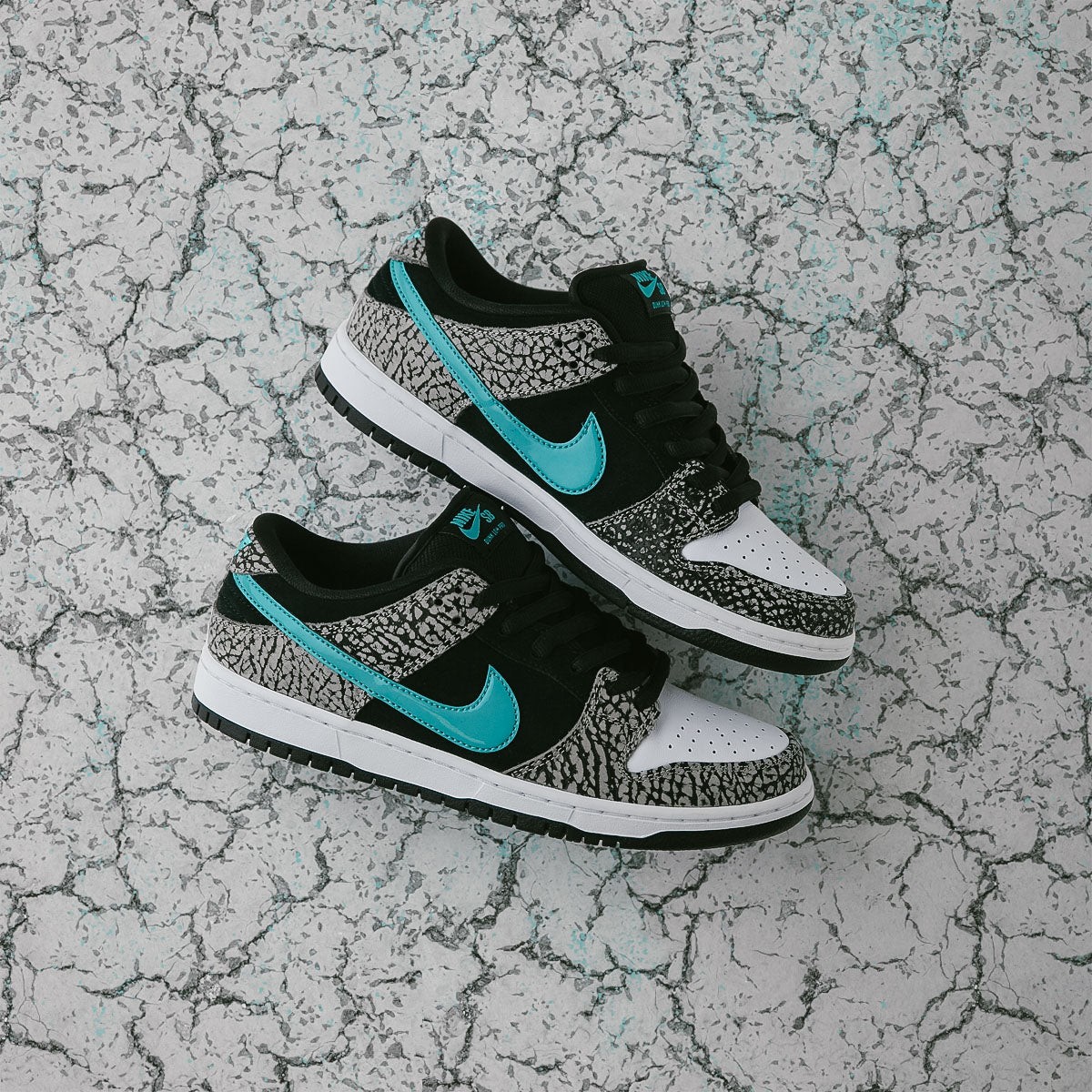 Nike SB Dunk Low atmos Elephant