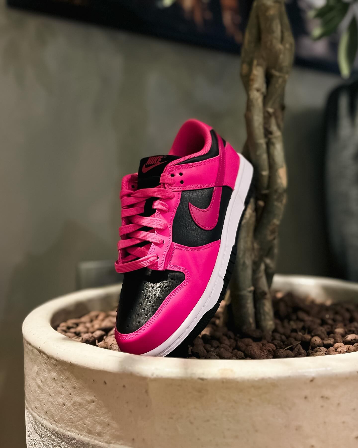 Nike Dunk Low Fierce Pink Black