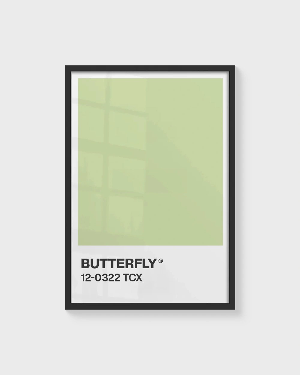 Senin Rengin | Butterfly Pantone Çerçevesiz Poster