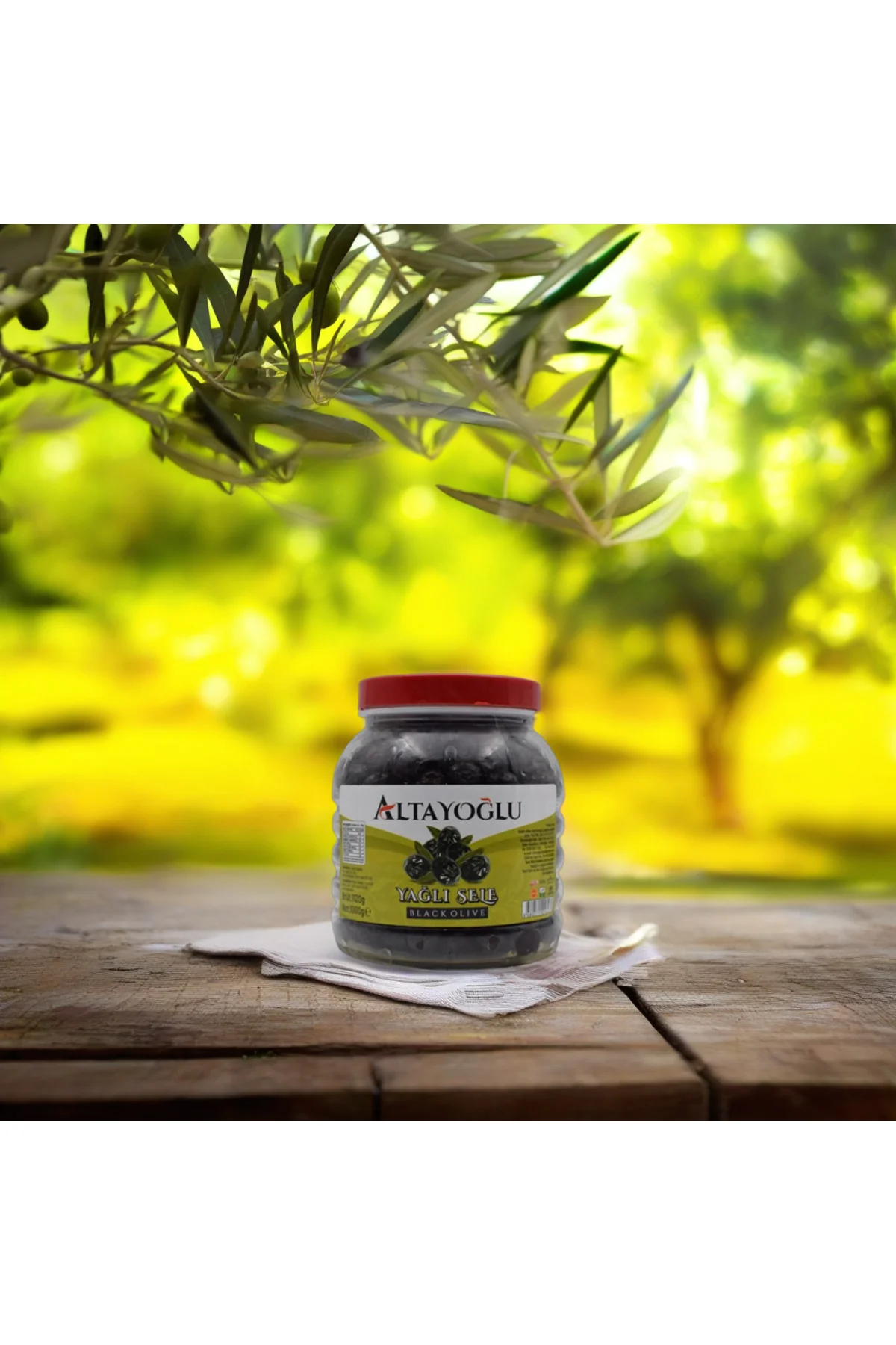 1500 cc Oiled Natural Black Olives, 291–320 Calibre