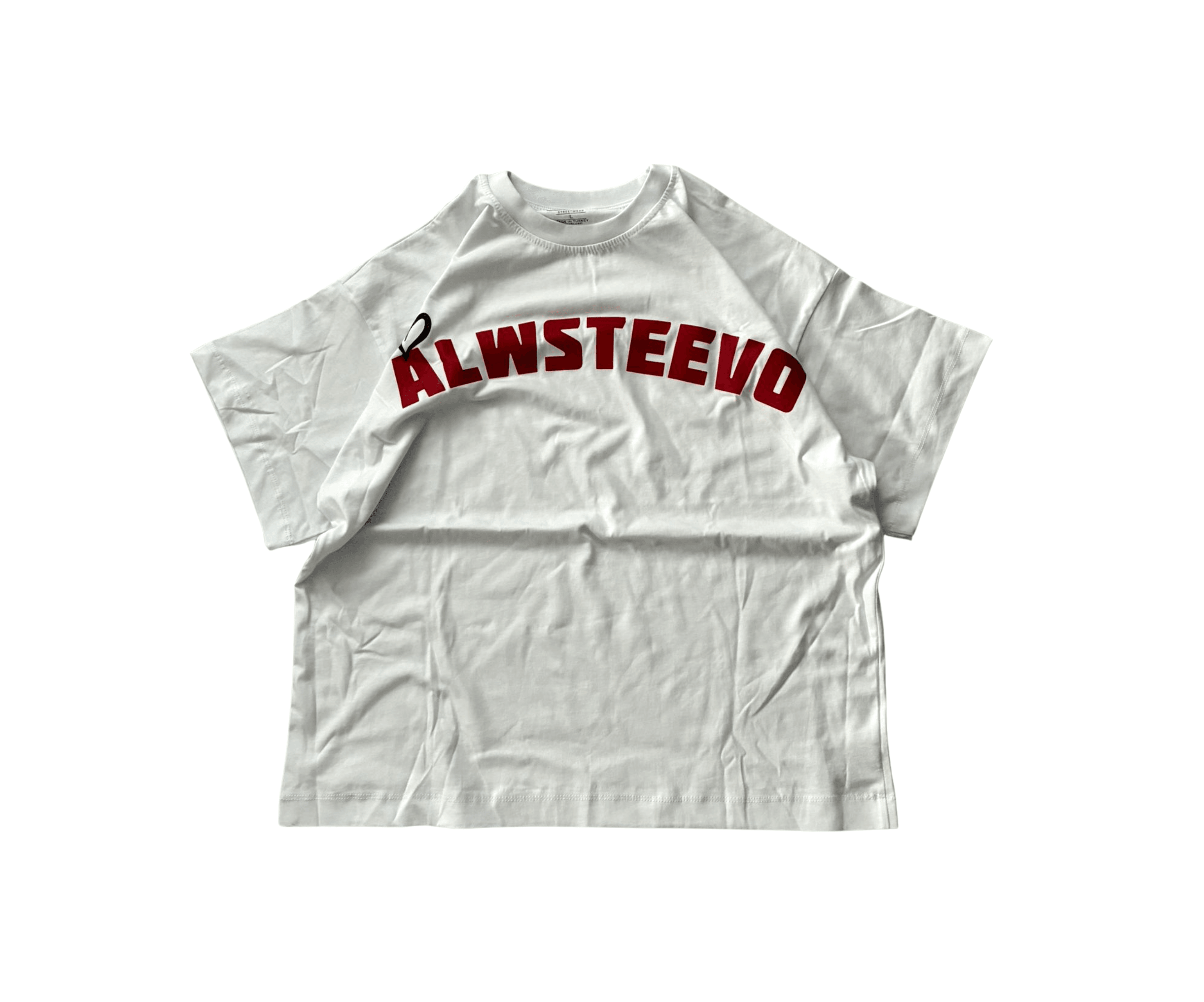 ALWSTEEVO BASKILI BOXY FIT T-SHIRT