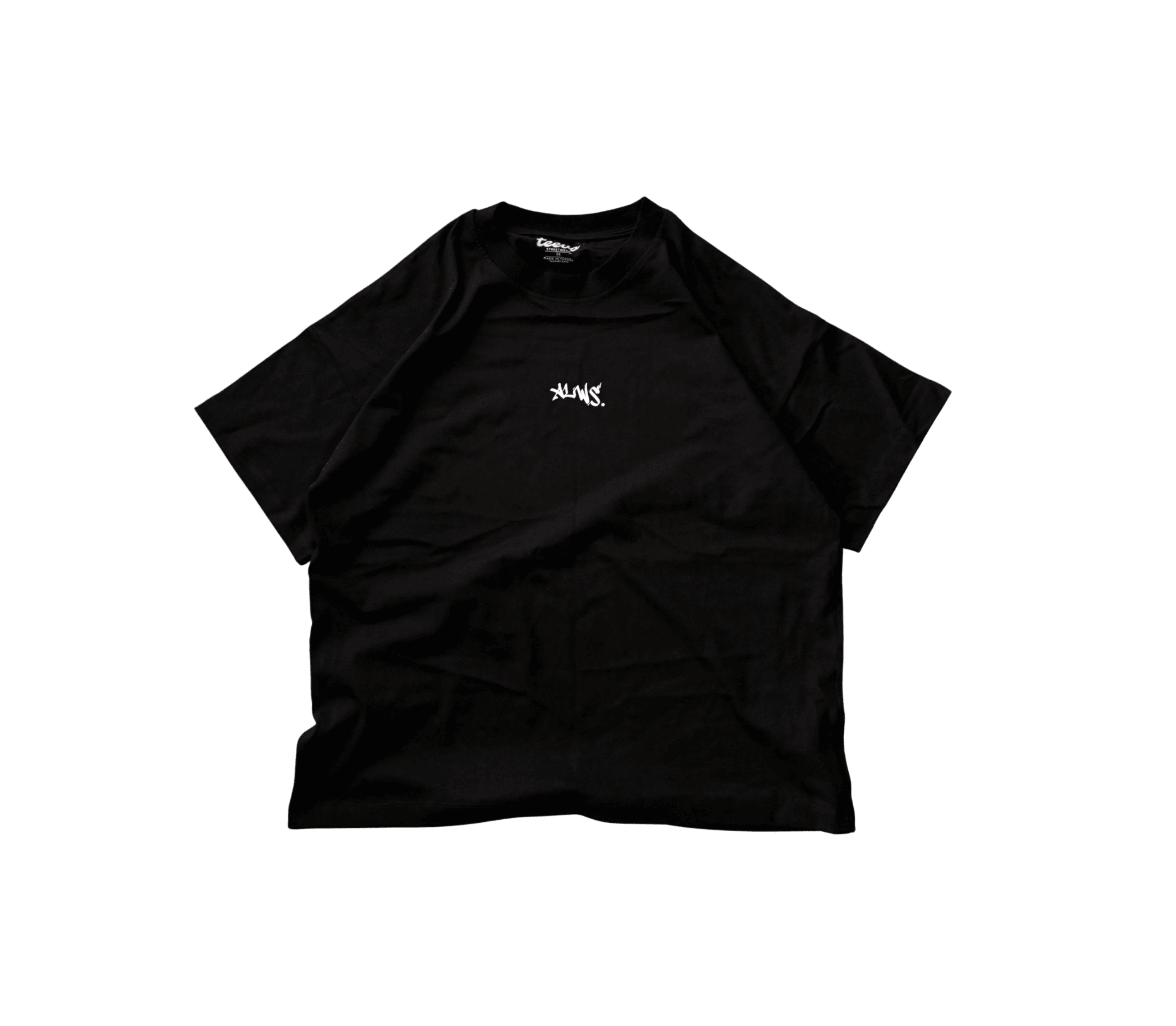 Basic ALWS Baskılı Oversize Tişört