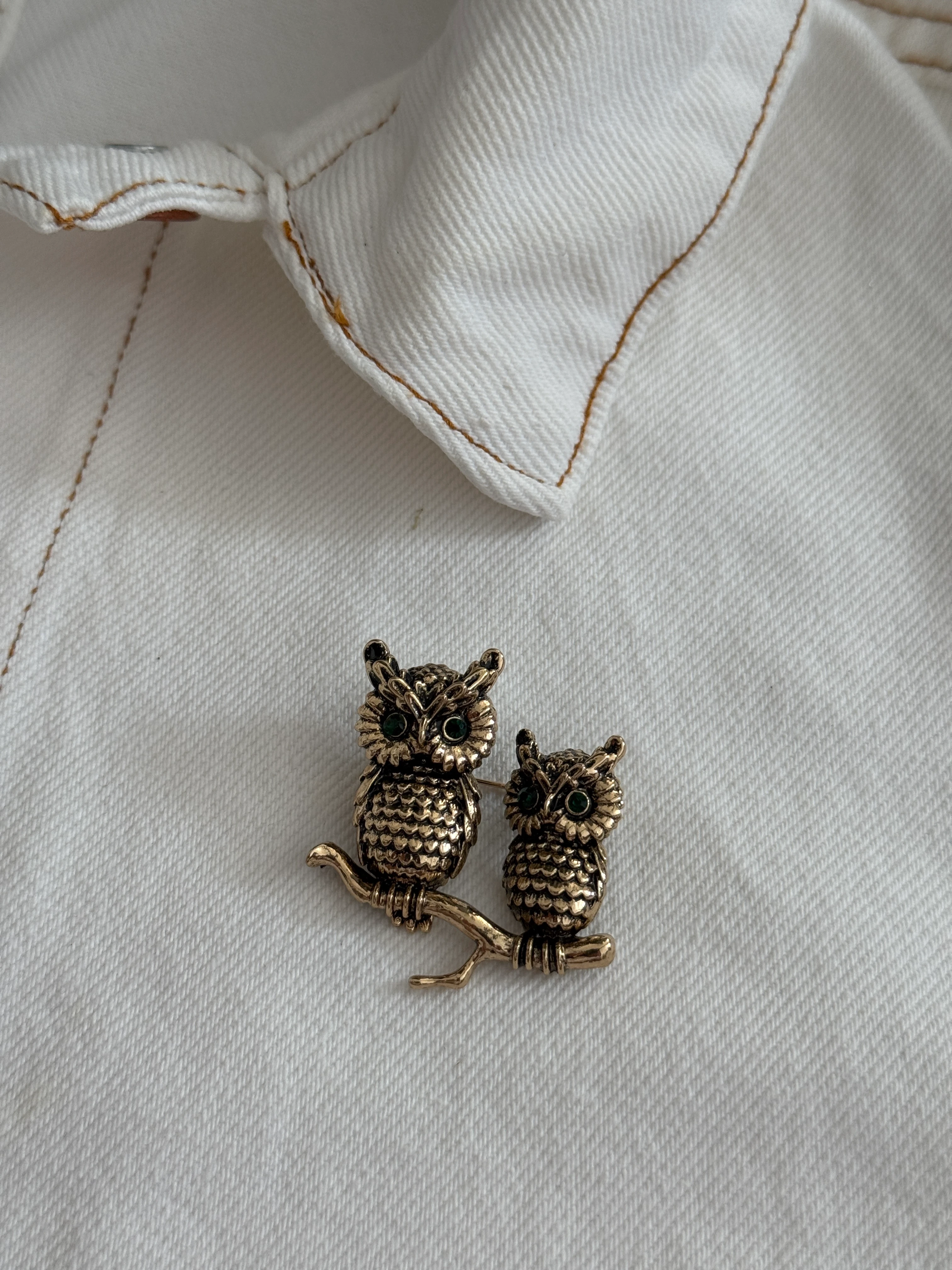 Özel Seri Baykuş Broş