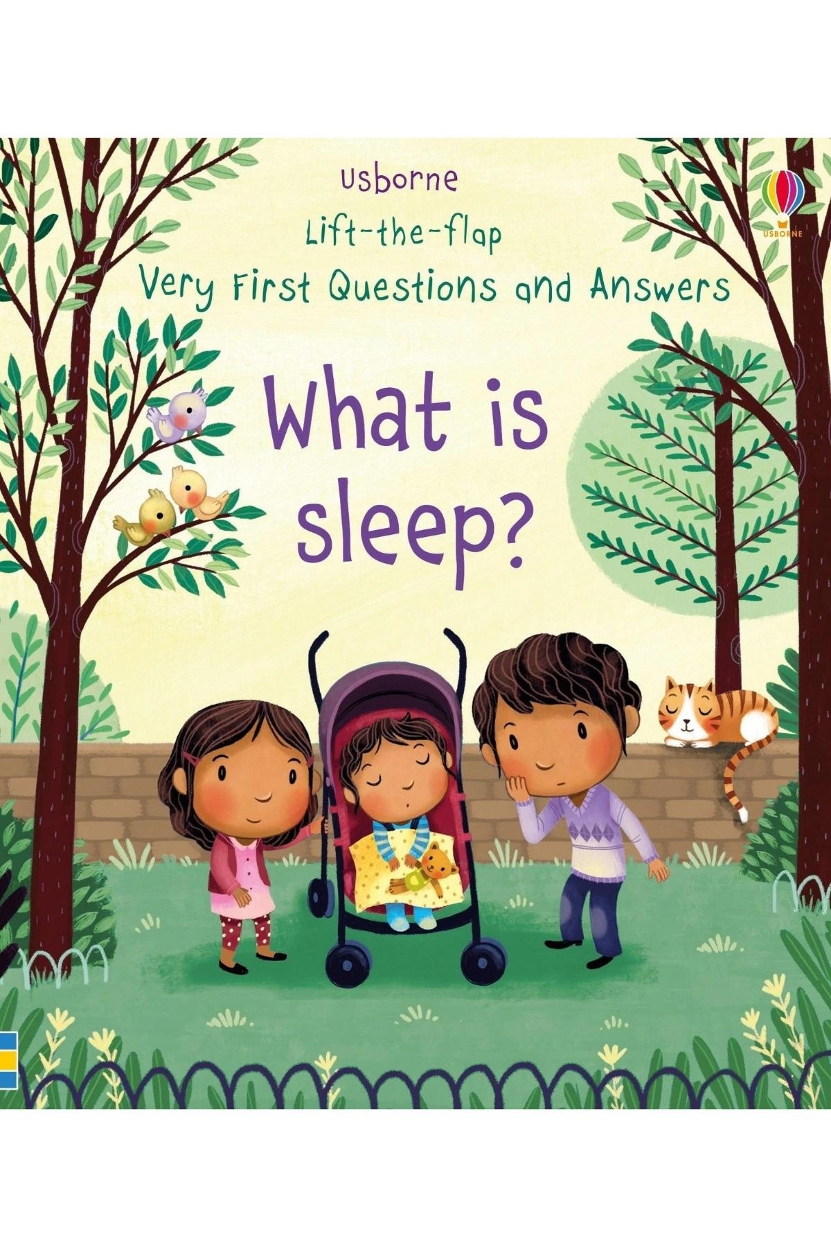 Lift-The-Flap Very First Questions And Answers What Is Sleep?