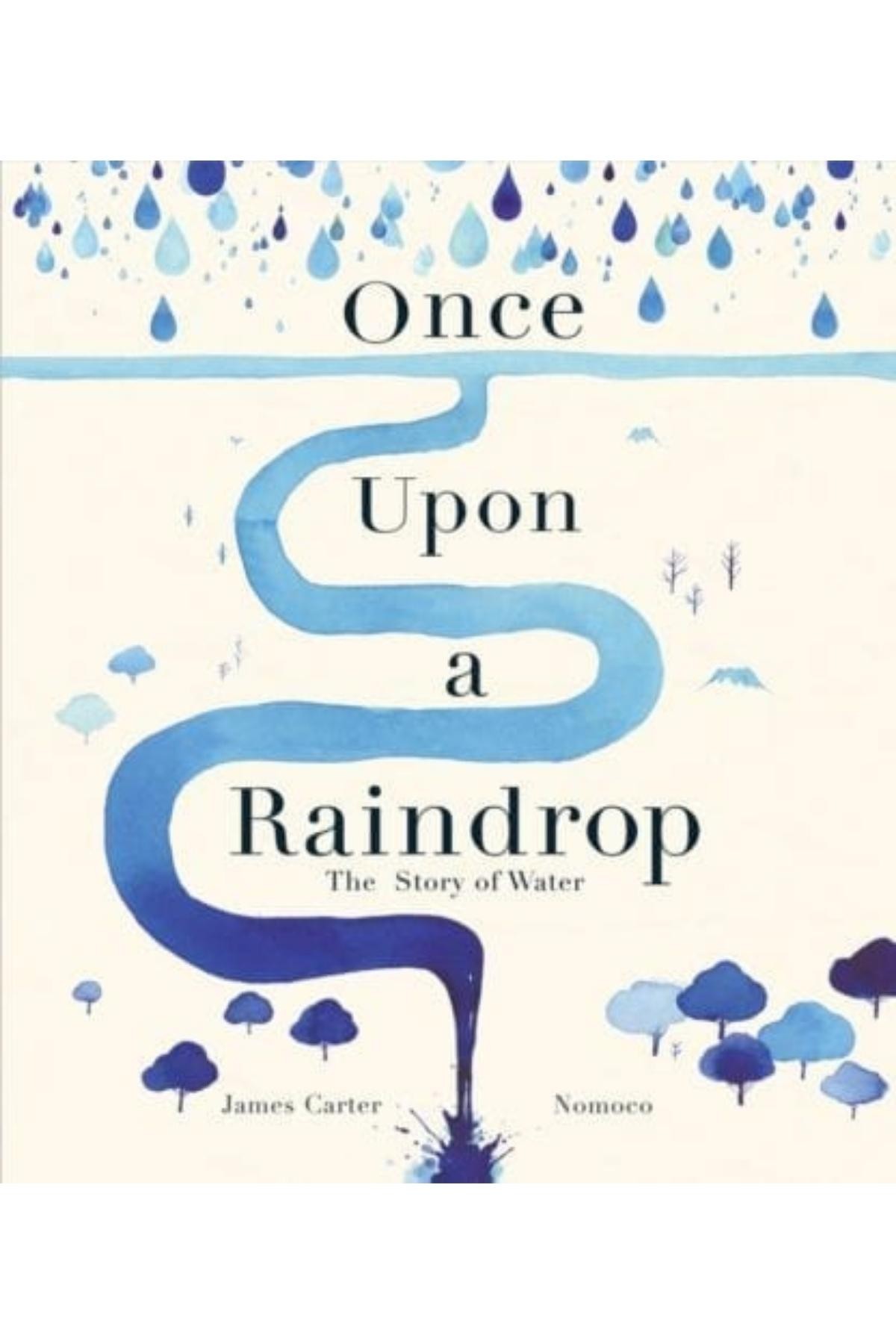 Once Upon A Raindrop