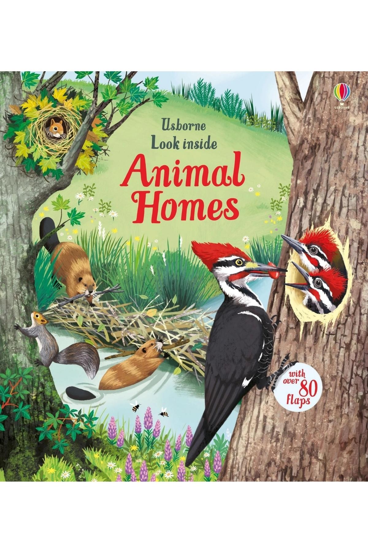 Look Inside Animal Homes