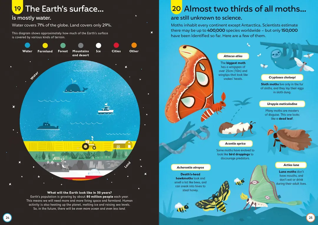 100 Things To Know About Science | Usborne | Çocuklar İçin