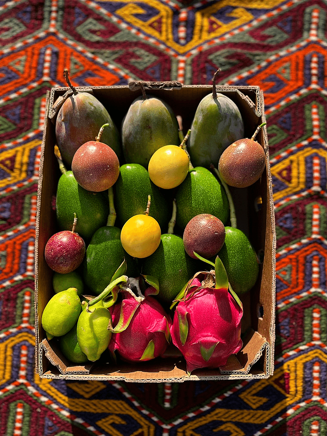 Renkli Paket 
