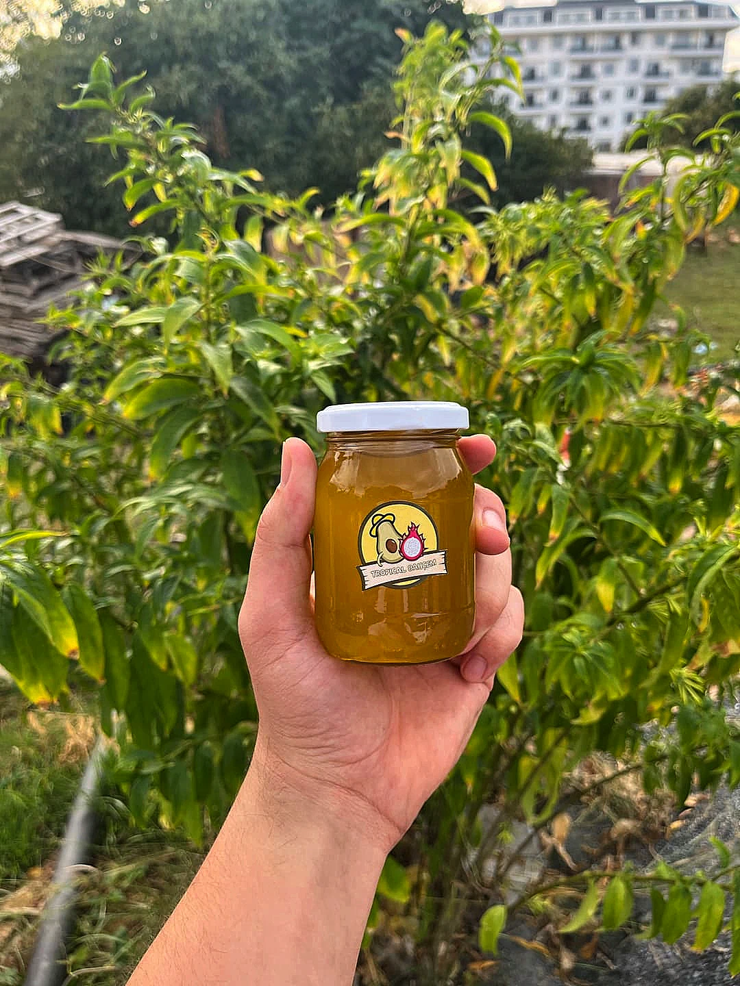 Doğa Zeytinyağı (200Ml)