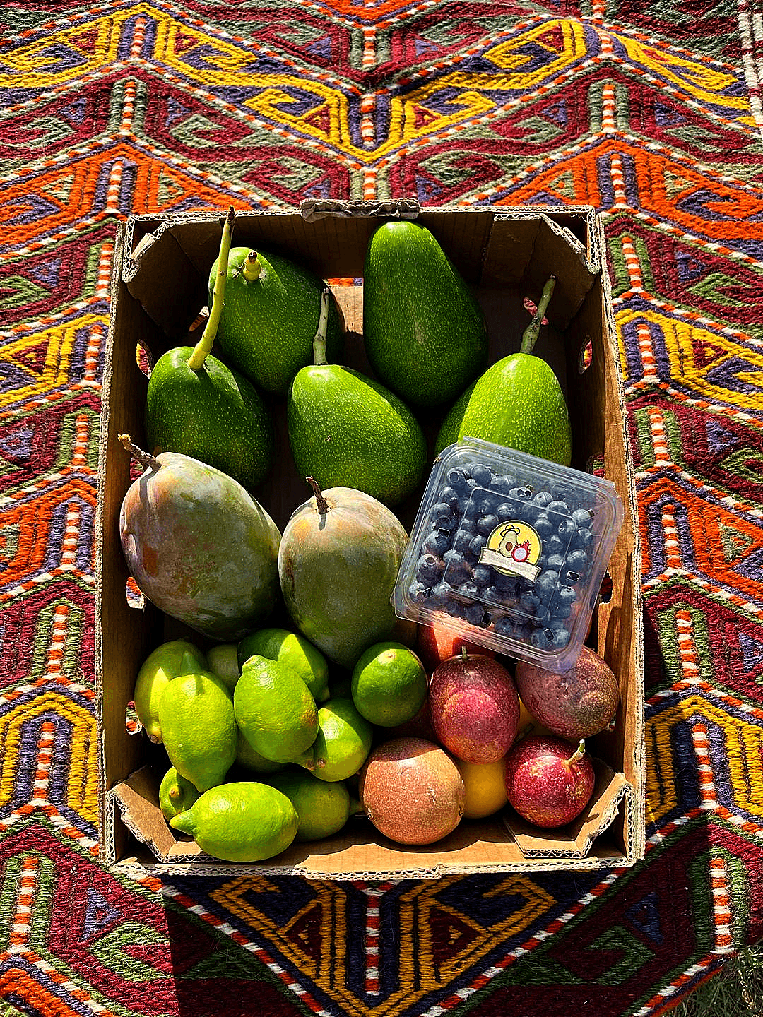 Karışık Paket 