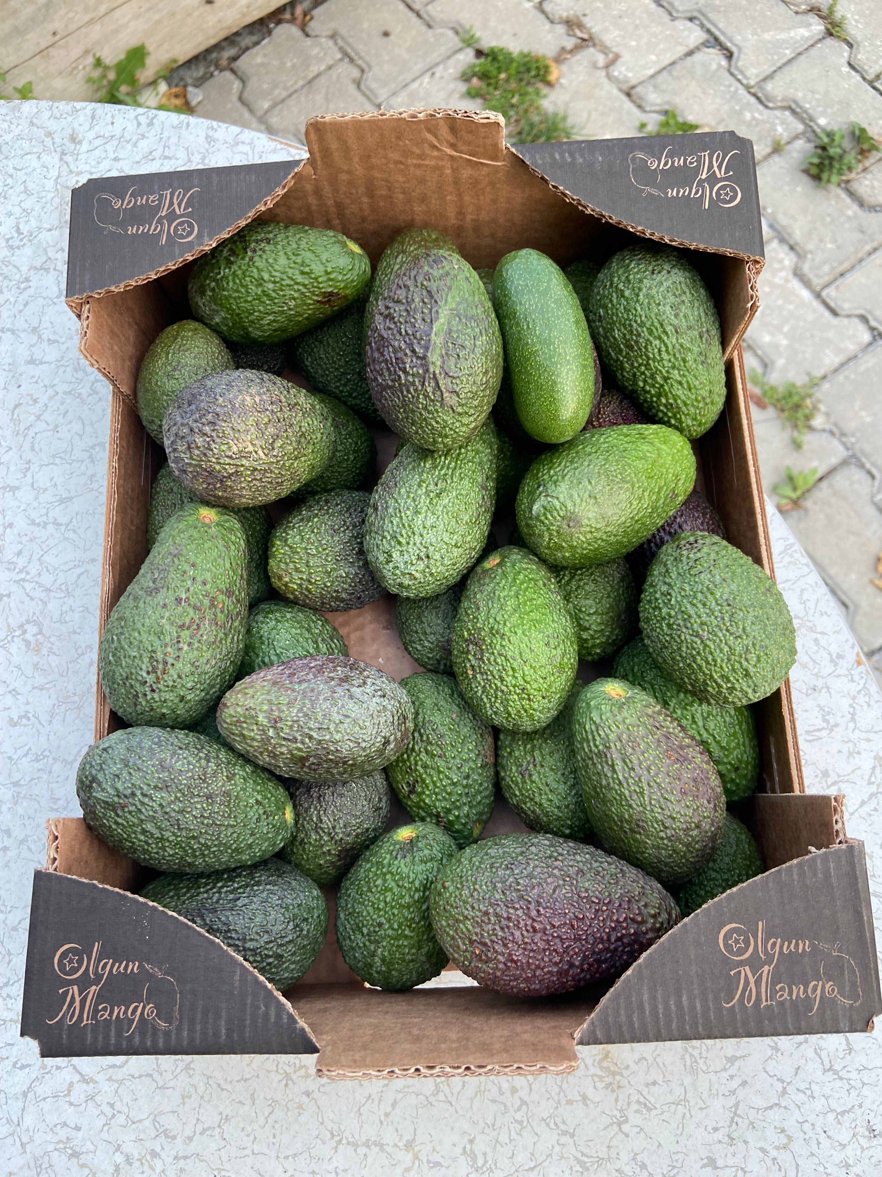 Baby Hass Avokado 1 Kg