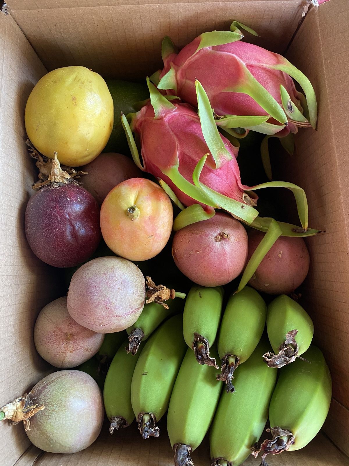 Vitamin Paket