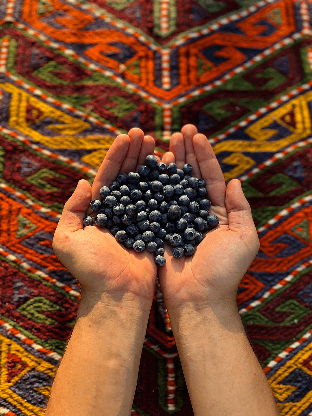 Doğal Yaban Mersini (125Gr)