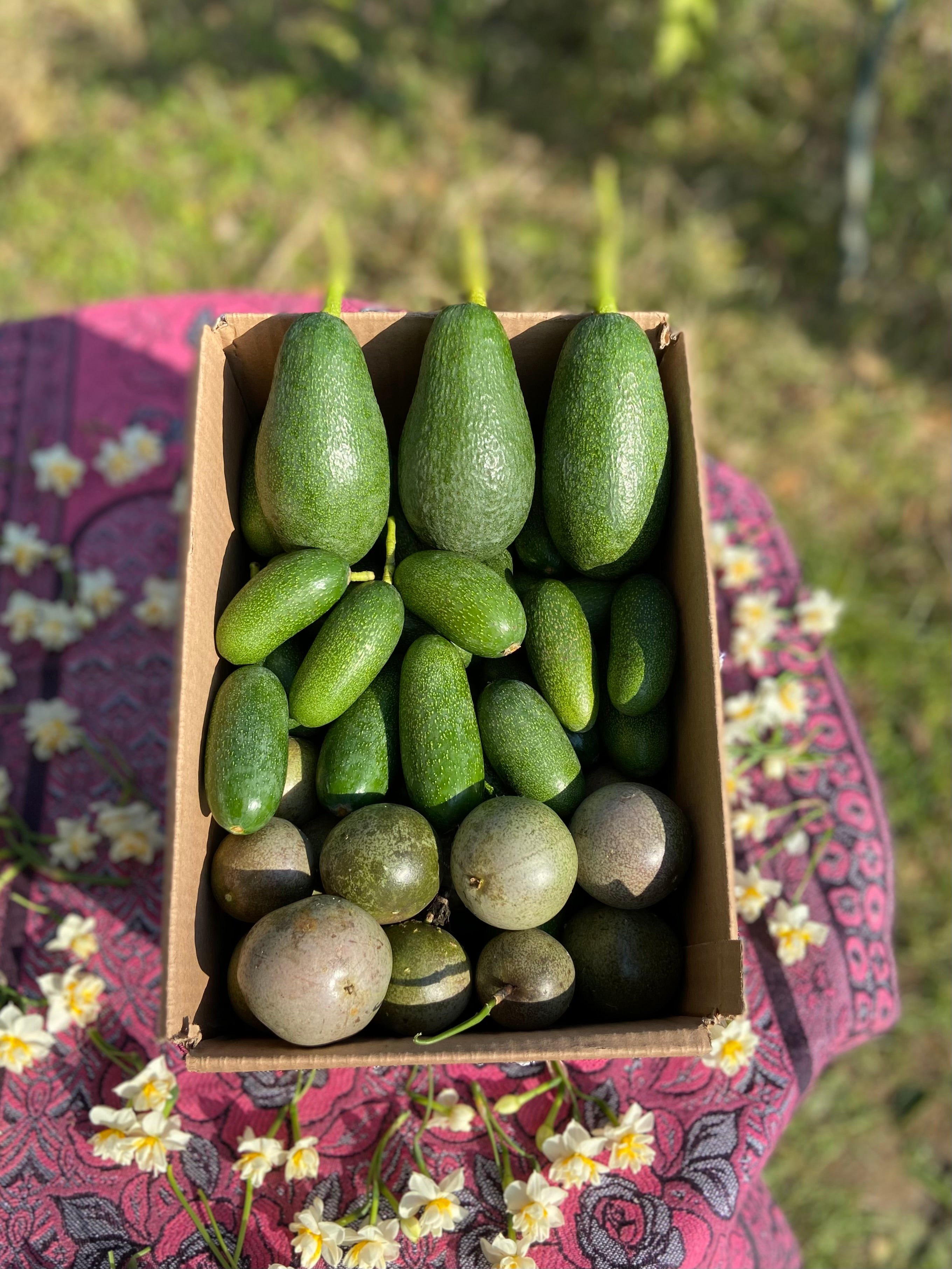 Efsane 3’Lü Paket
