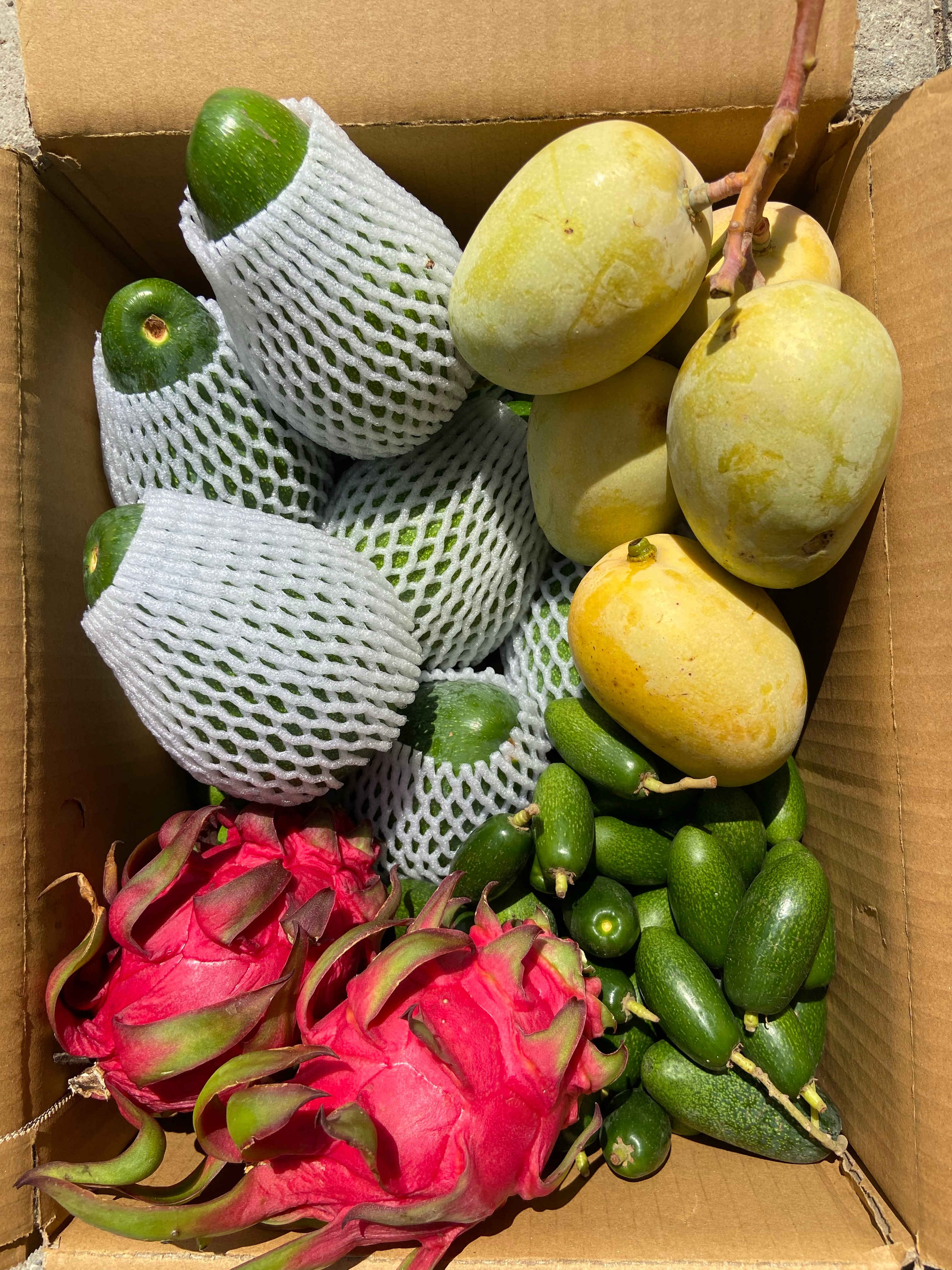Mango-Ejder-Avokadolu Paket 