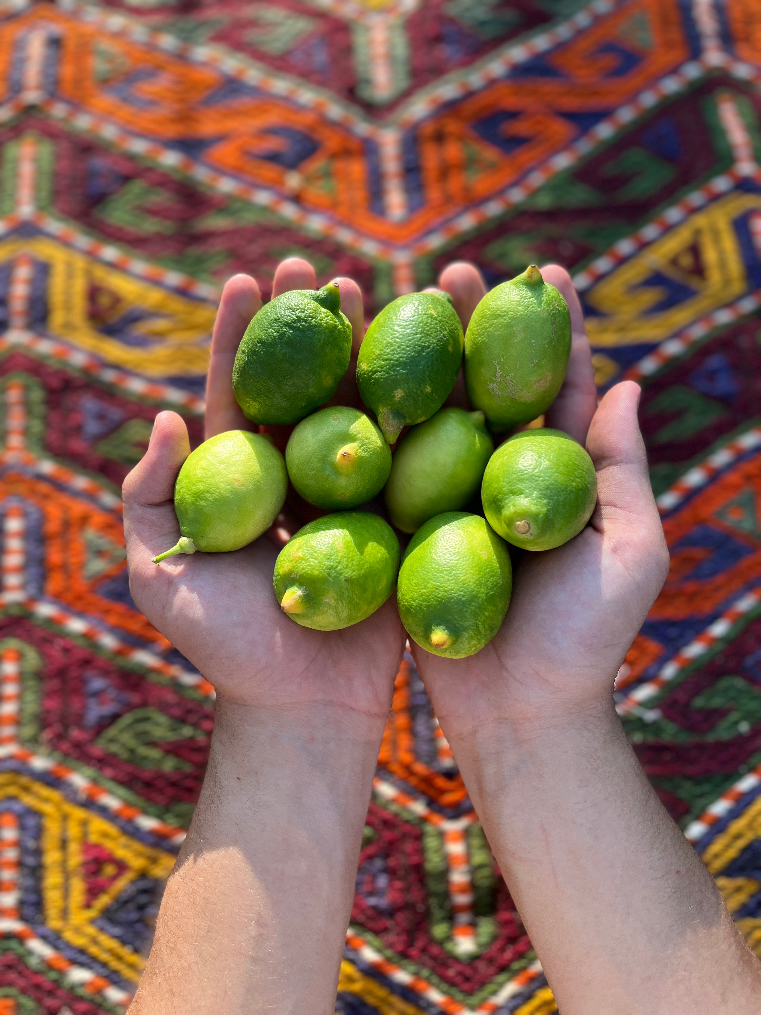 Lime Kg 