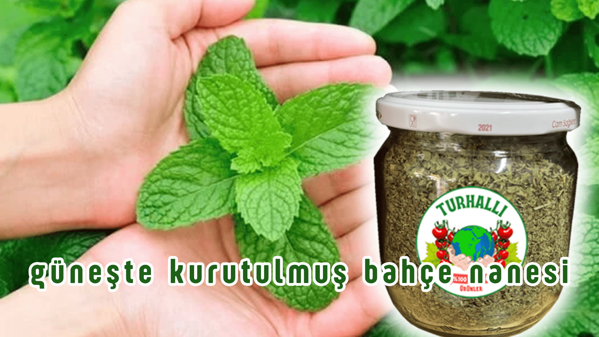 BAYRAM FIRSATI (ÜCRETSİZ KARGO)