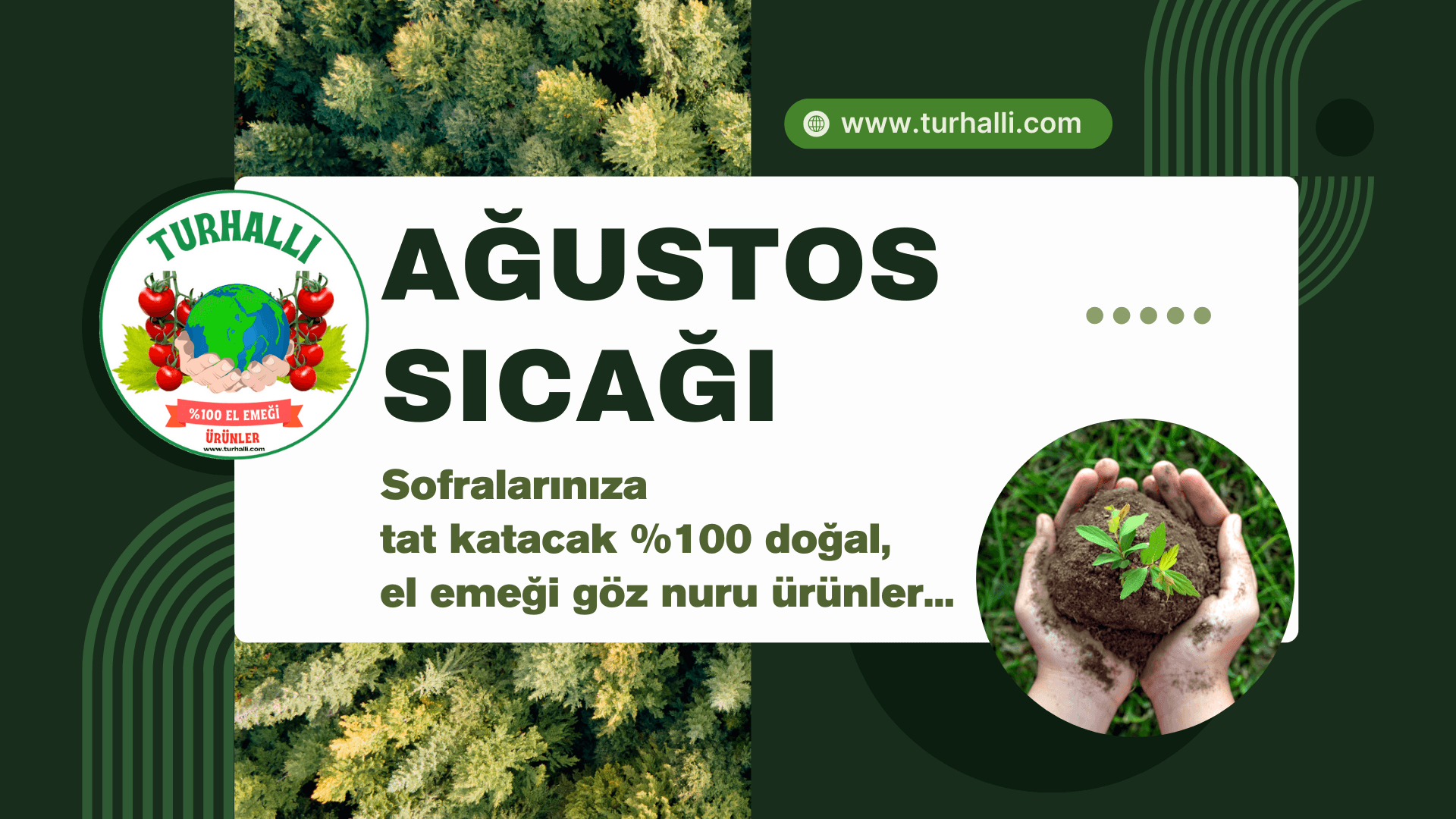 AĞUSTOS SICAĞI