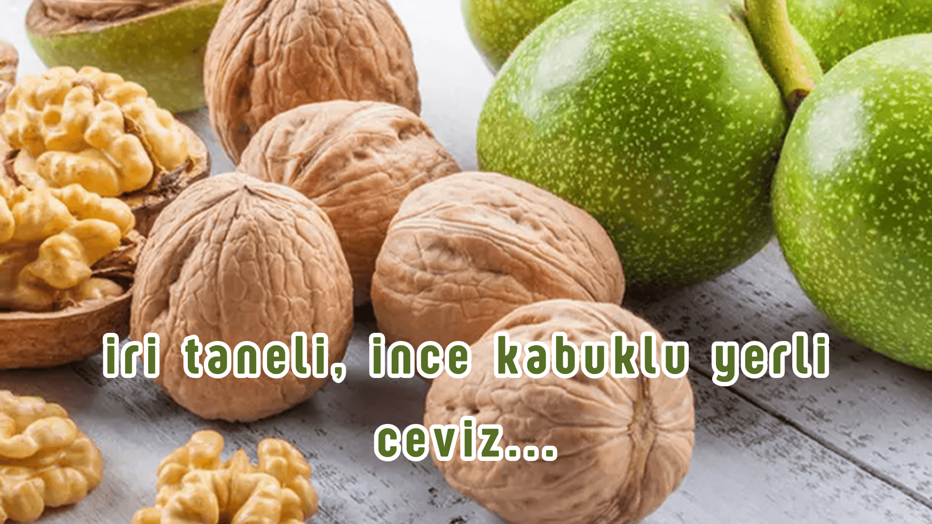BAYRAM FIRSATI (ÜCRETSİZ KARGO)