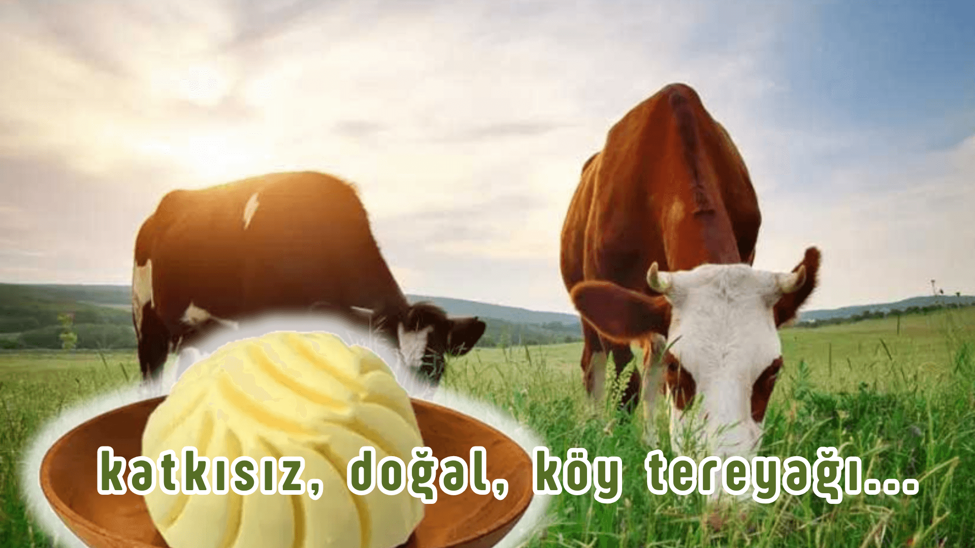 BAYRAM FIRSATI (ÜCRETSİZ KARGO)