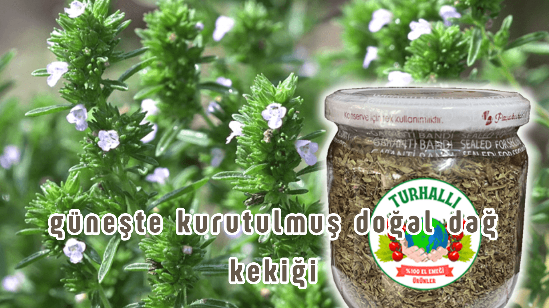 BAYRAM FIRSATI (ÜCRETSİZ KARGO)