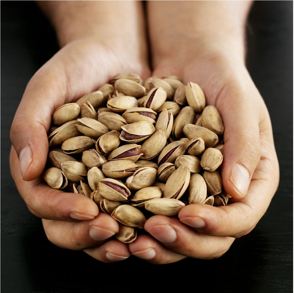 Ana Çatlak Antep Fıstığı 5 kg