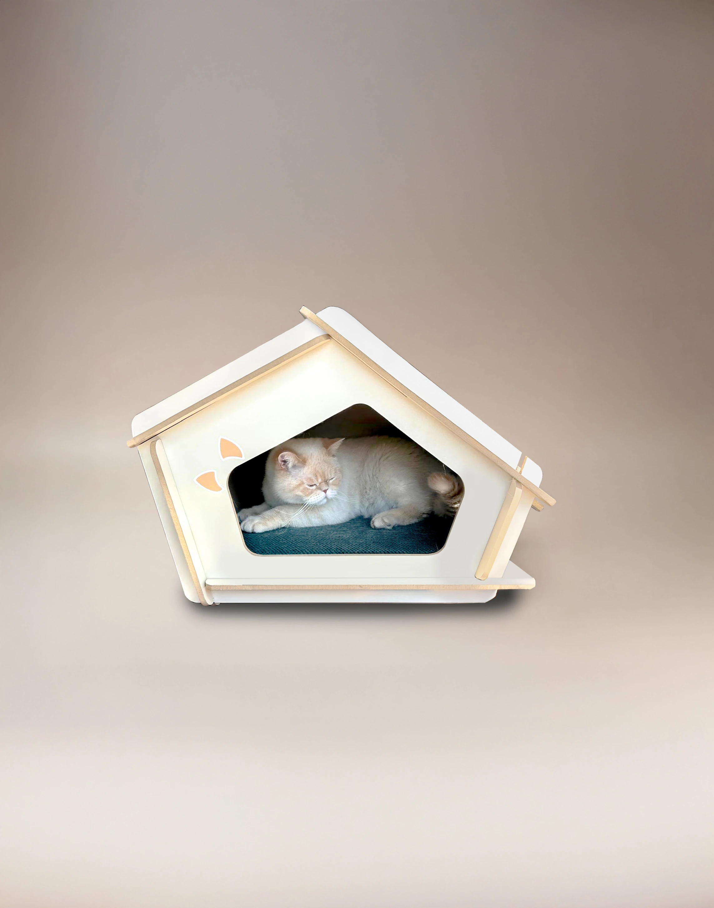 Kurgu Kedi Evi